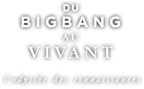 Logo du big bang au vivant